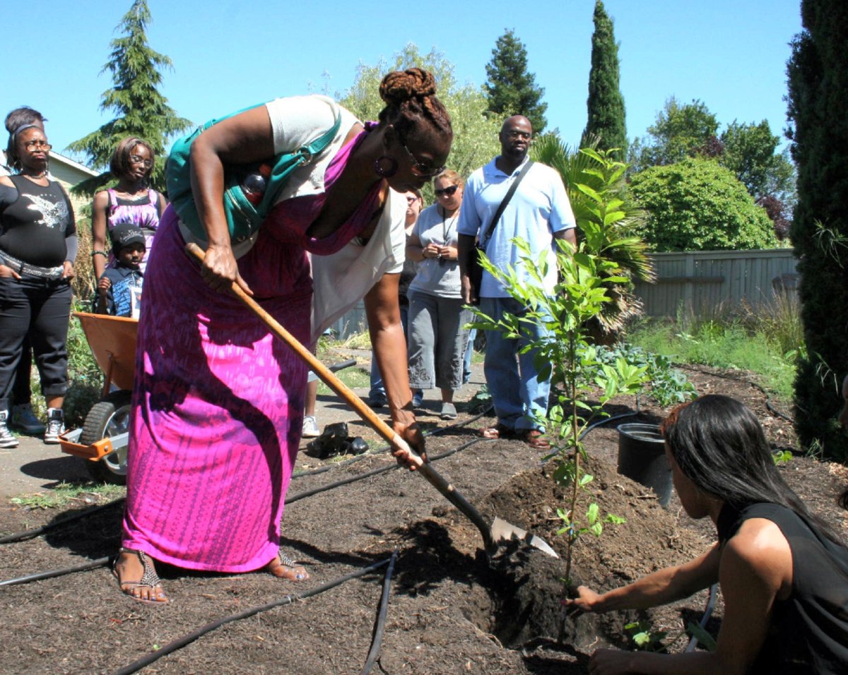 Neighbors and a child planting a young fruit tree together