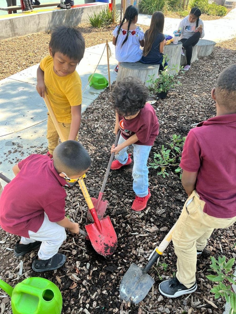 Students planting together in a school garden bed