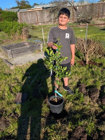 A boy standing with his newly planted fruit tree at home
